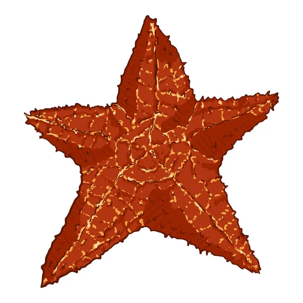 Vector Cartoon Red Starfish Illustration — Stock Vector
