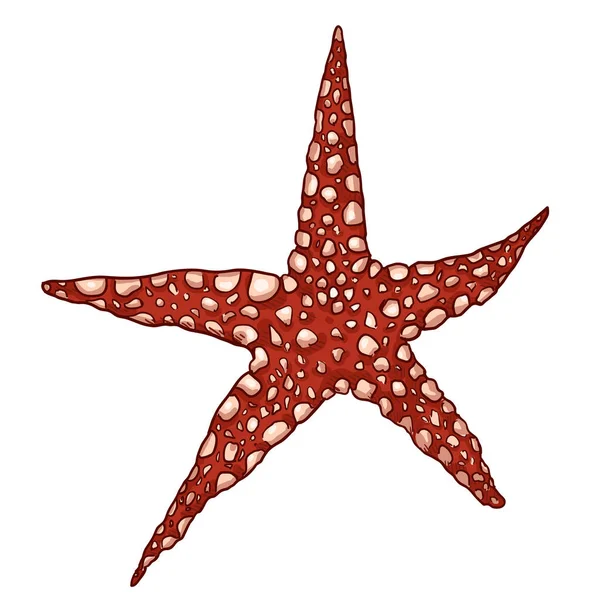 Vektor Tecknad Röd Starfish Illustration — Stock vektor