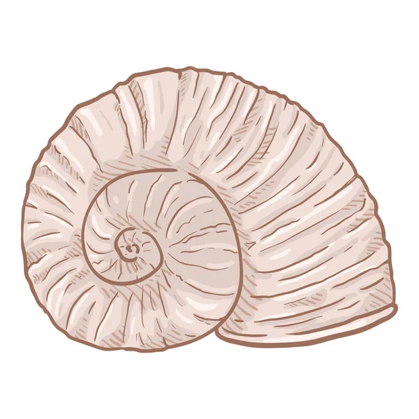 Vector Cartoon Nautilus Shell Απομονωμένη Εικονογράφηση — Διανυσματικό Αρχείο