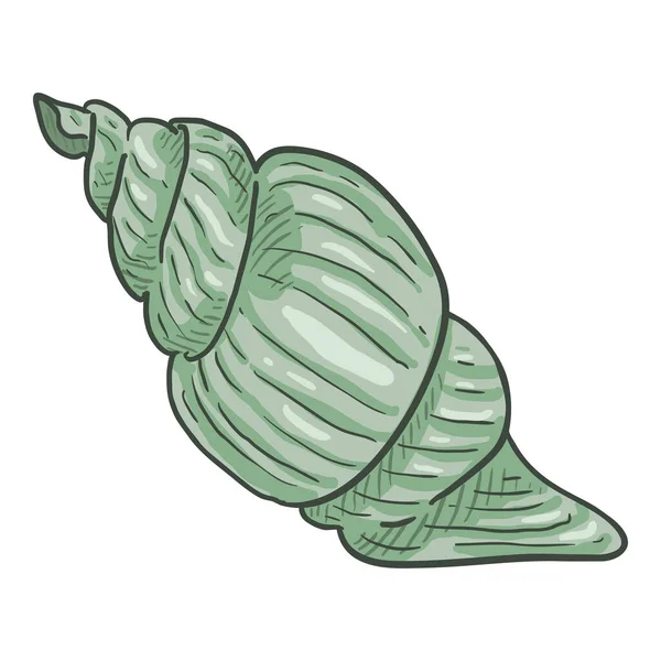 Vector Cartoon Seashell Fundo Branco —  Vetores de Stock