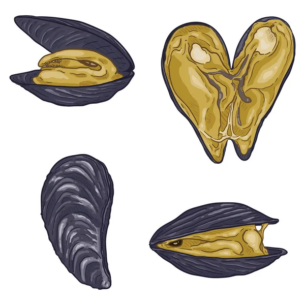 Vector Set Cartoon Mussels Mollusk Illustrations Stock Illustration