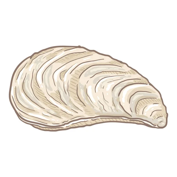 Vector Cartoon Closed White Mussel Illustration Stock Vector