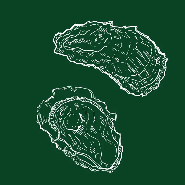 Vector Chalk Sketch Oyster Illustrations Blackboard Background Royalty Free Stock Illustrations