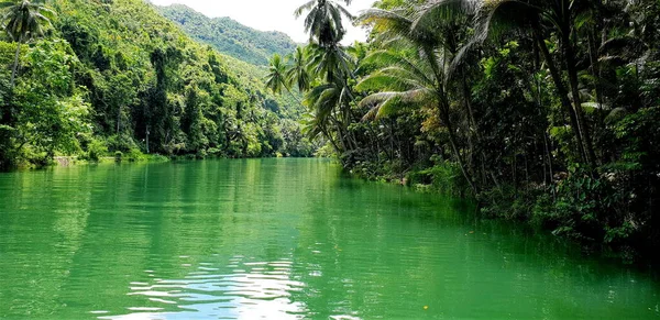 Floden Mitt Djungeln Loboc River View Filippinernas Natur — Stockfoto