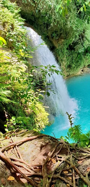 Cascada Medio Selva Naturaleza Tropical Salvaje — Foto de Stock