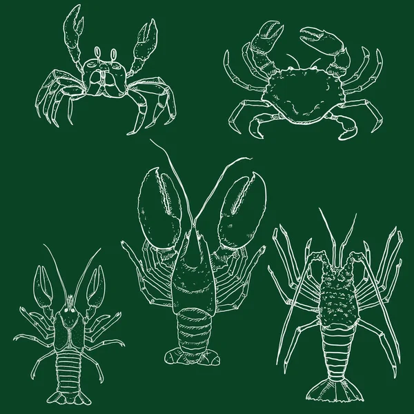 Vektor Set Dari Chalk Sketch Sea Animals Omar Lobster Dan - Stok Vektor