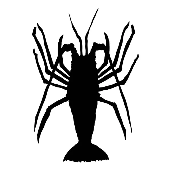 Spiny Lobster Vector Black Silhouette Illustrazione Sfondo Bianco — Vettoriale Stock