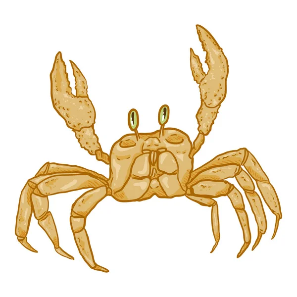 Crab Vector Cartoon Εικονογράφηση Λευκό Φόντο — Διανυσματικό Αρχείο