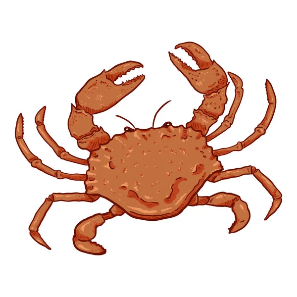 Crab Vector Cartoon Illustration Fundo Branco —  Vetores de Stock