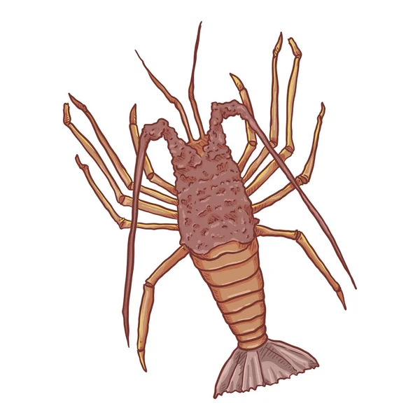 Ilustrasi Kartun Lobster Berputar Latar Belakang Putih - Stok Vektor