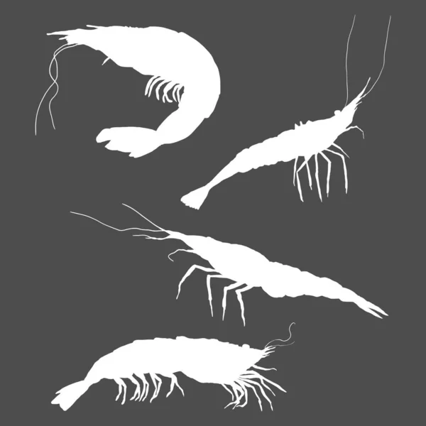 Vector Set White Shrimp Σιλουέτες Μαύρο Φόντο — Διανυσματικό Αρχείο