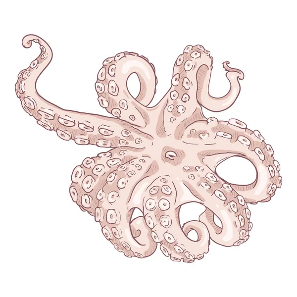 Vector Cartoon Octopus Cefalópode Ilustração —  Vetores de Stock