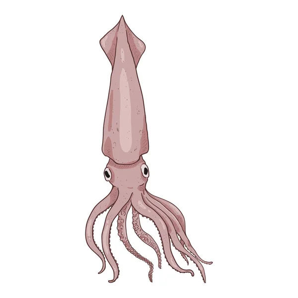 Calamar Vector Dibujos Animados Ilustración Cefalópodos — Vector de stock