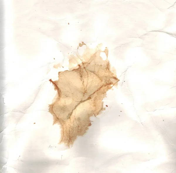 Photo Old Wrinkled Paper Brown Stain — Stock Photo, Image