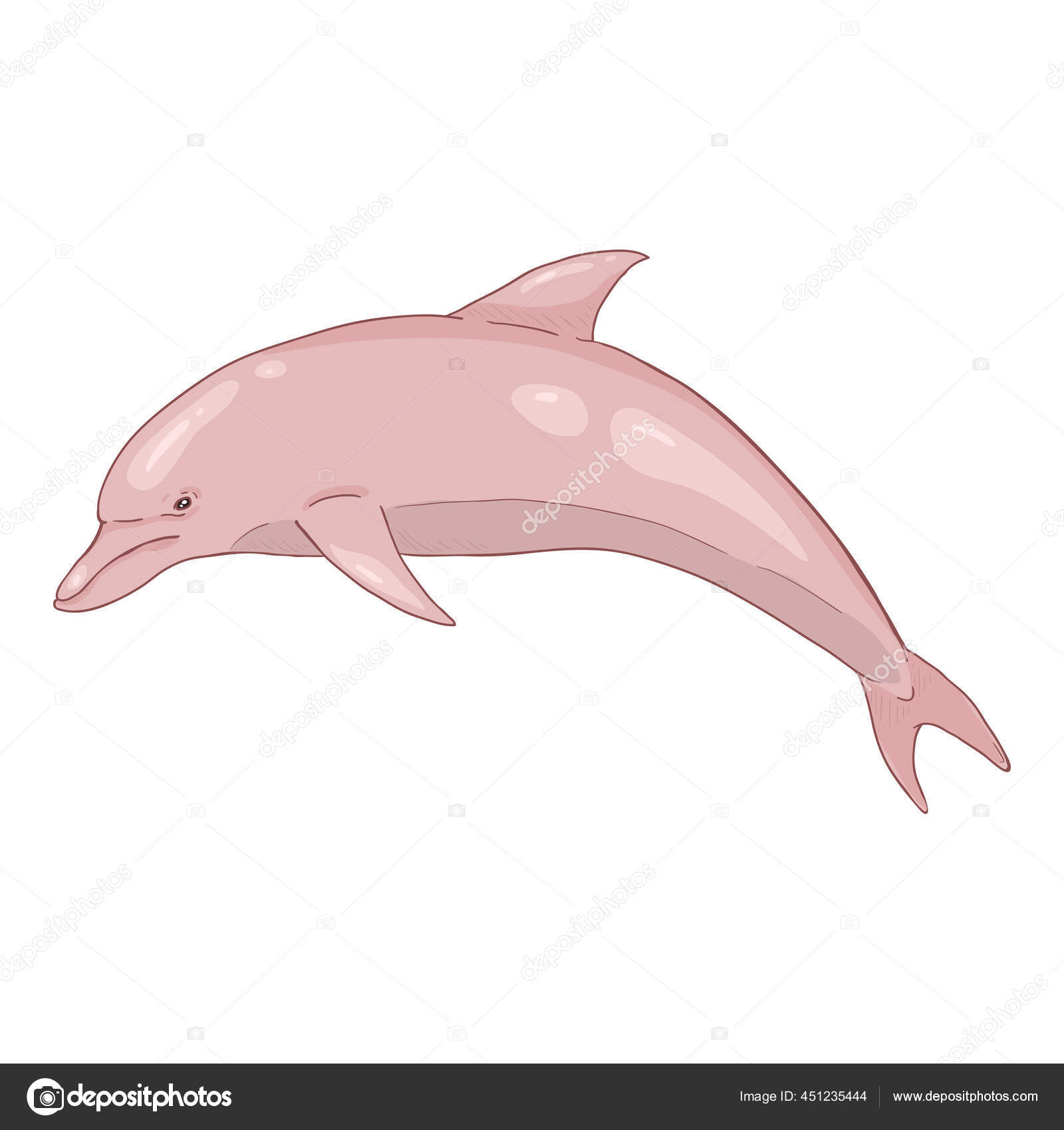 Vector Cartoon Pink Dolphin Illustration White Background Stock Vector