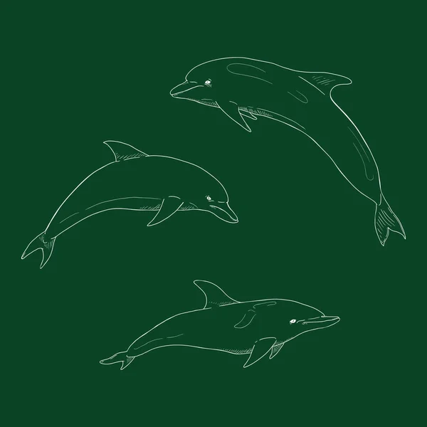 Vektor Uppsättning Chalk Sketch Dolphin — Stock vektor