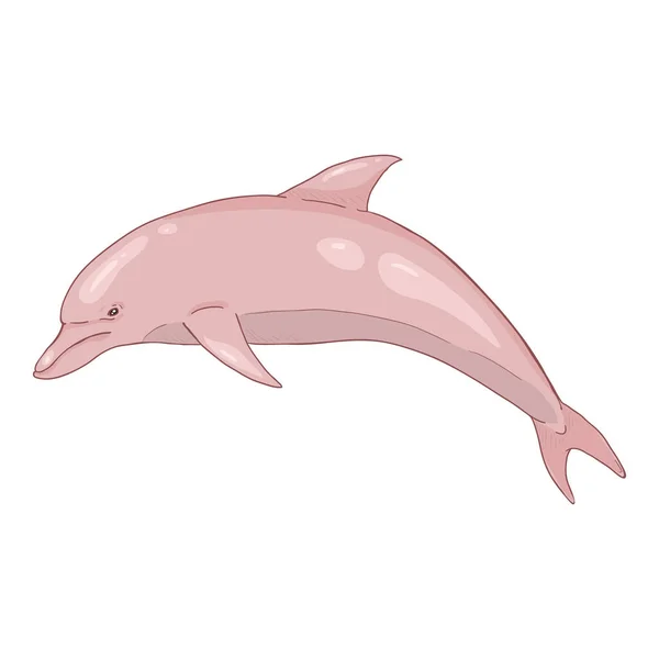 Vektor Tecknad Rosa Dolphin Illustration Vit Bakgrund — Stock vektor
