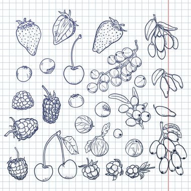 Vektör Mavi Böğürtlen Seti. Farklı Türler