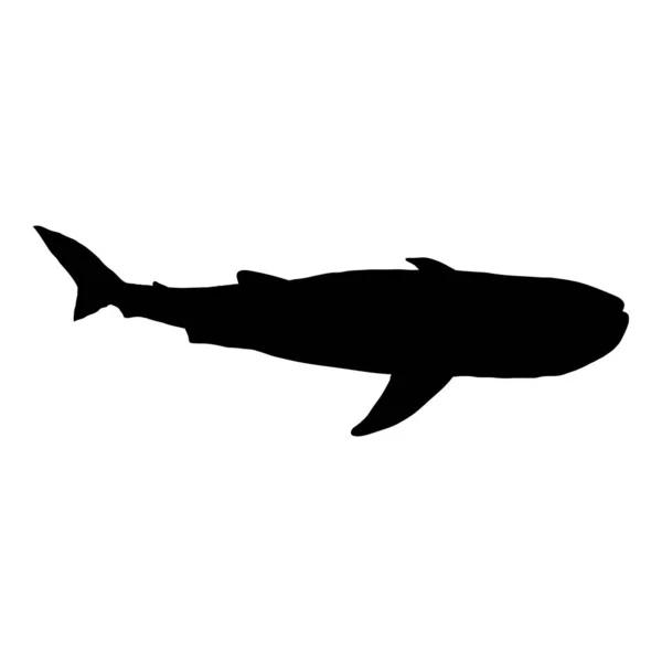 Fekete Sziluett Vektor Bálna Cápától Rhincodon Typus Illusztráció — Stock Vector