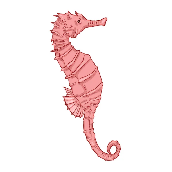 Tekenfilm Pink Seahorse Vector Illustratie — Stockvector