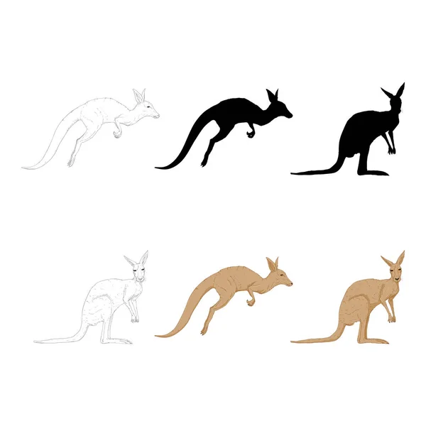 Vector Set Kangaroo Illustrations Sketch Silhouette Cartoon Style — Stok Vektör