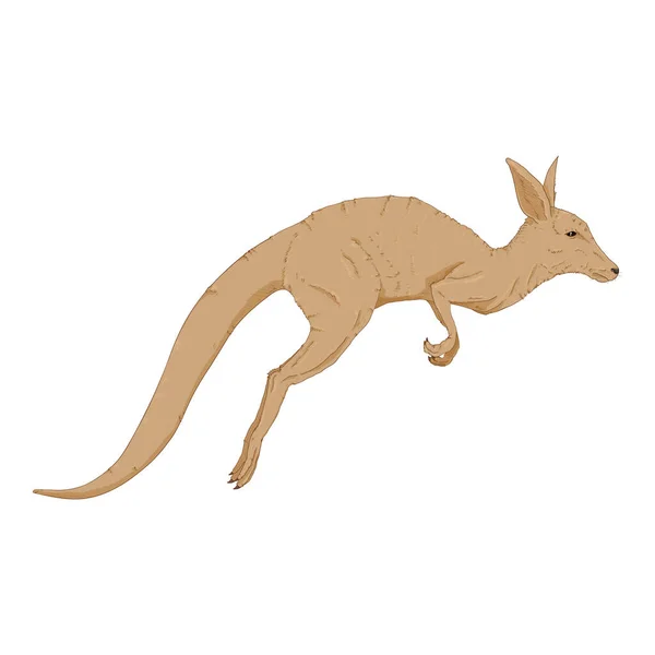 Vector Cartoon Jumping Kangaroo Side View — Vector de stock