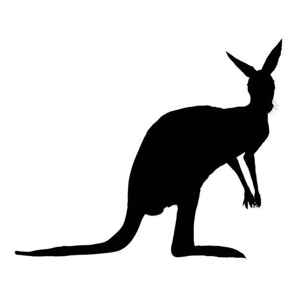 Vector Black Silhouette Standing Kangaroo — Vector de stock
