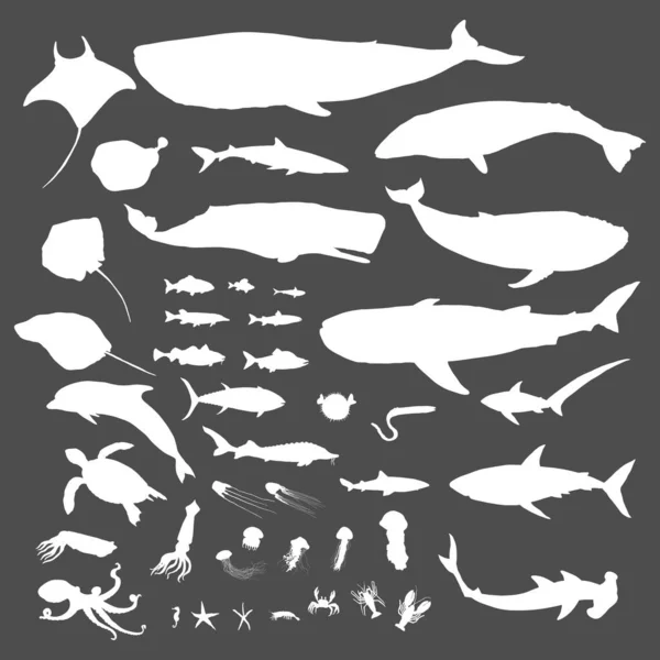 Vektor Velký Soubor Mořských Živočichů Bílá Silueta Ilustrace — Stockový vektor