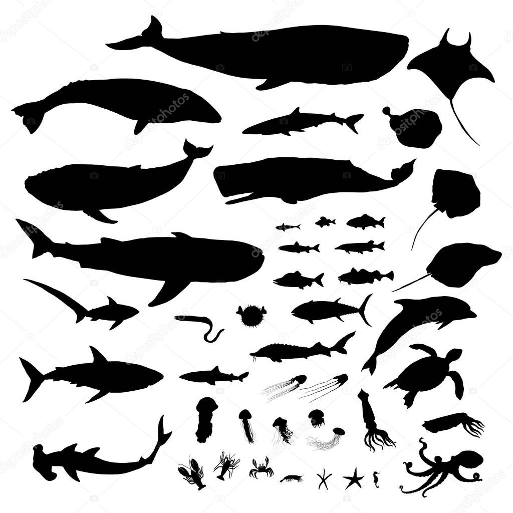 Vector Big Set of Sea Animals Silhouette Illustrations