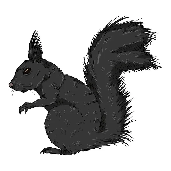 Vector Cartoon Black Squirrel Isolated Illustration Side View — Stock Vector