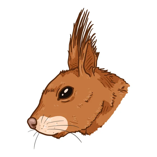 Vector Cartoon Squirrel Head Vue Latérale — Image vectorielle