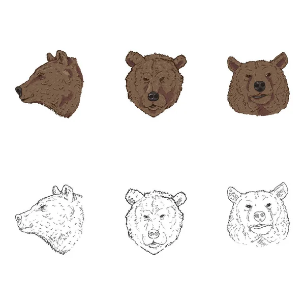 Vector Set Bear Head 약자이다 스케치 — 스톡 벡터