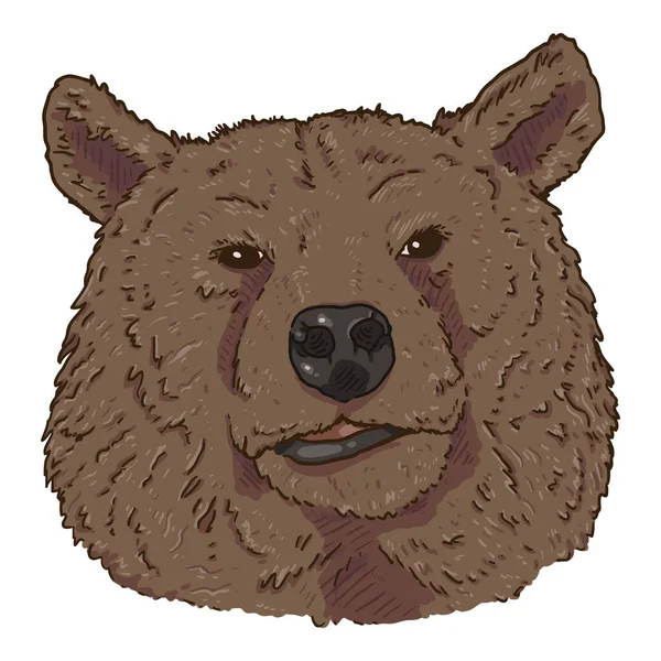 Vector Cartoon Brown Bears Head Illustration Dalam Bahasa Inggris Tampilan - Stok Vektor