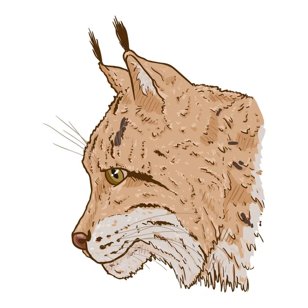 Vector Cartoon Lynx Head Seitenansicht Illustration Auf Weißem Hintergrund — Stockvektor