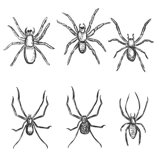 Arañas de boceto — Archivo Imágenes Vectoriales