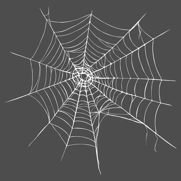 Паутина паука — стоковый вектор