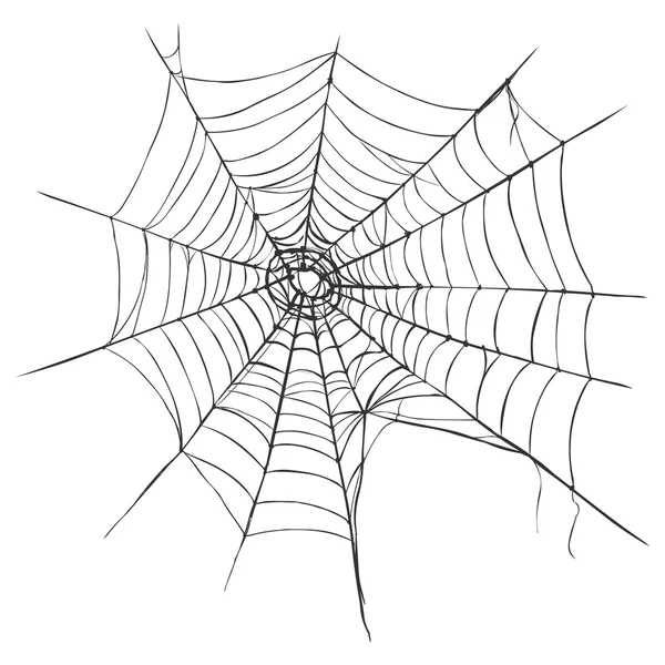Spider's Web — Stock Vector