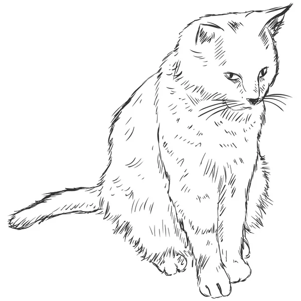 Ескіз кішка — стоковий вектор