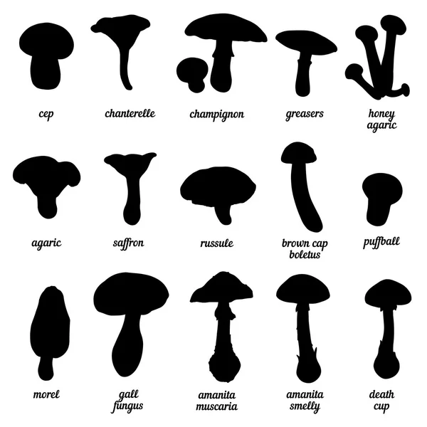 Set of mushrooms silhouettes — Stock Illustration Set of mushrooms silhouettes Stock Vector