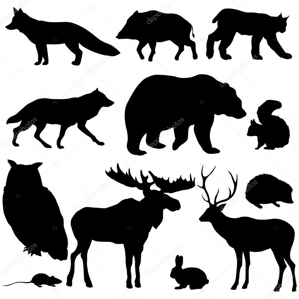 Ensemble de Silhouettes d'animaux forêt — Image vectorielle nikiteev