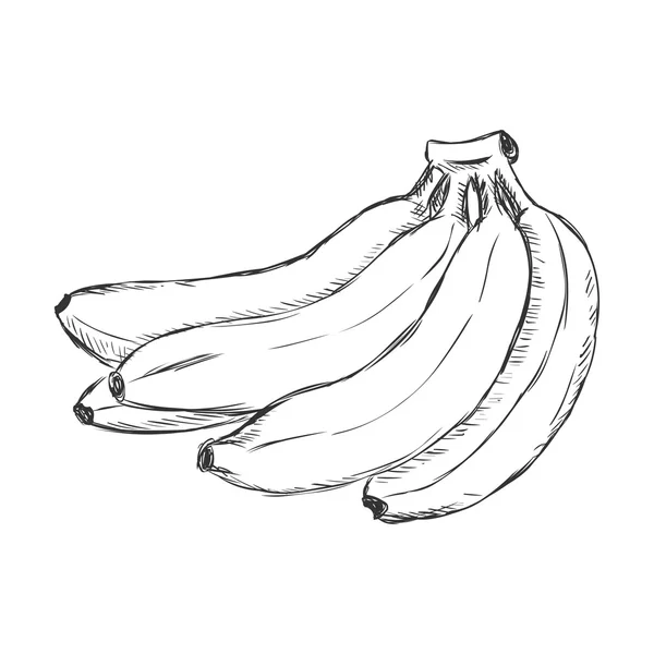 Cartoon Bunch of Bananas — Stock Vector