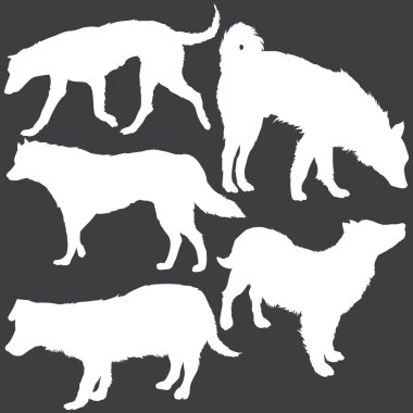 Köpekler siluetleri kümesi