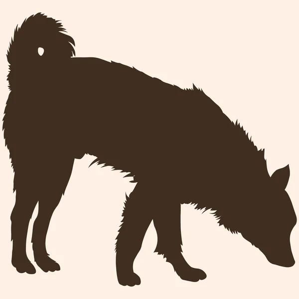 Één silhouet van hond — Stockvector