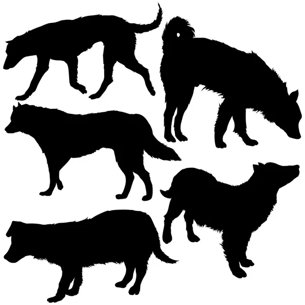 Aantal honden silhouetten — Stockvector