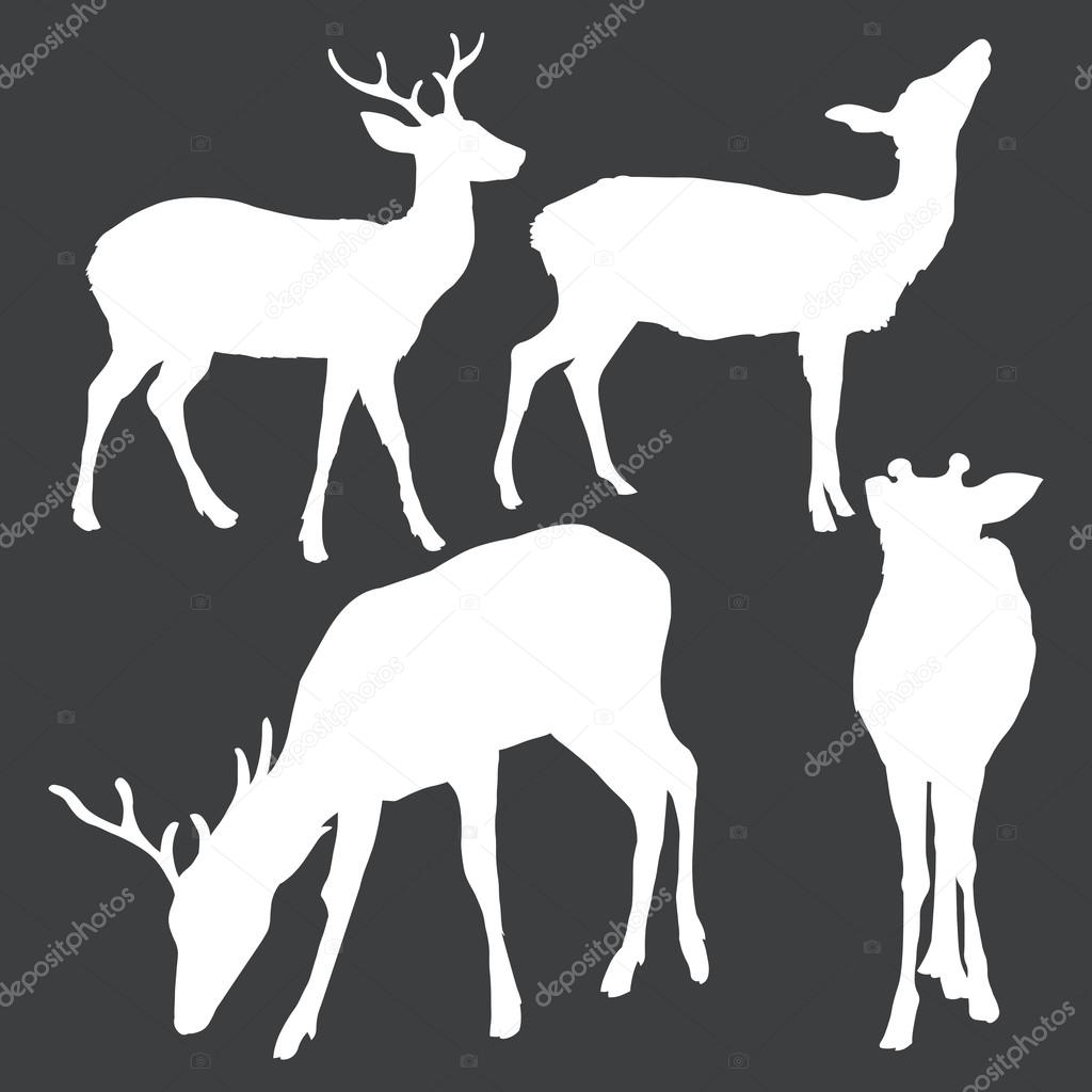 Dappled Deer Silhouetttes