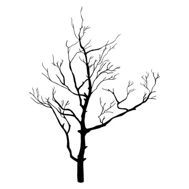 Vektör tek çıplak ağaca siluet