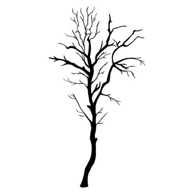 Vektör tek çıplak ağaca siluet