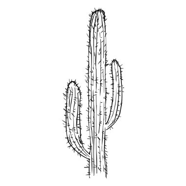 Tek kroki kaktüsler