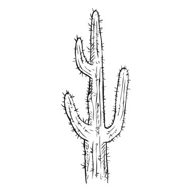 Tek kroki kaktüsler