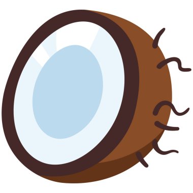 Vektör Rengi Düz Tasarım Simgesi - Hindistan cevizi